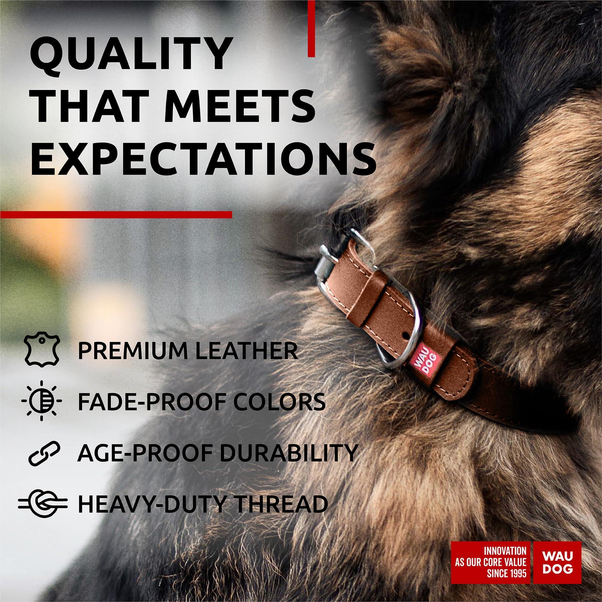 Leather Dog Collar Small & Medium Dogs 12–15 in Neck Brown