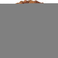 Dog Multivitamin Chews 15-in-1 MSM Hip & Joint Health