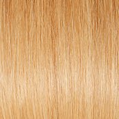 APPLAUSE - Wig by Raquel Welch 100% Human Hair
