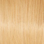 APPLAUSE - Wig by Raquel Welch 100% Human Hair
