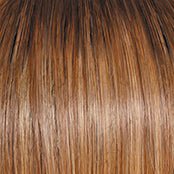 Raquel Welch Advanced French Wig Hairpiece