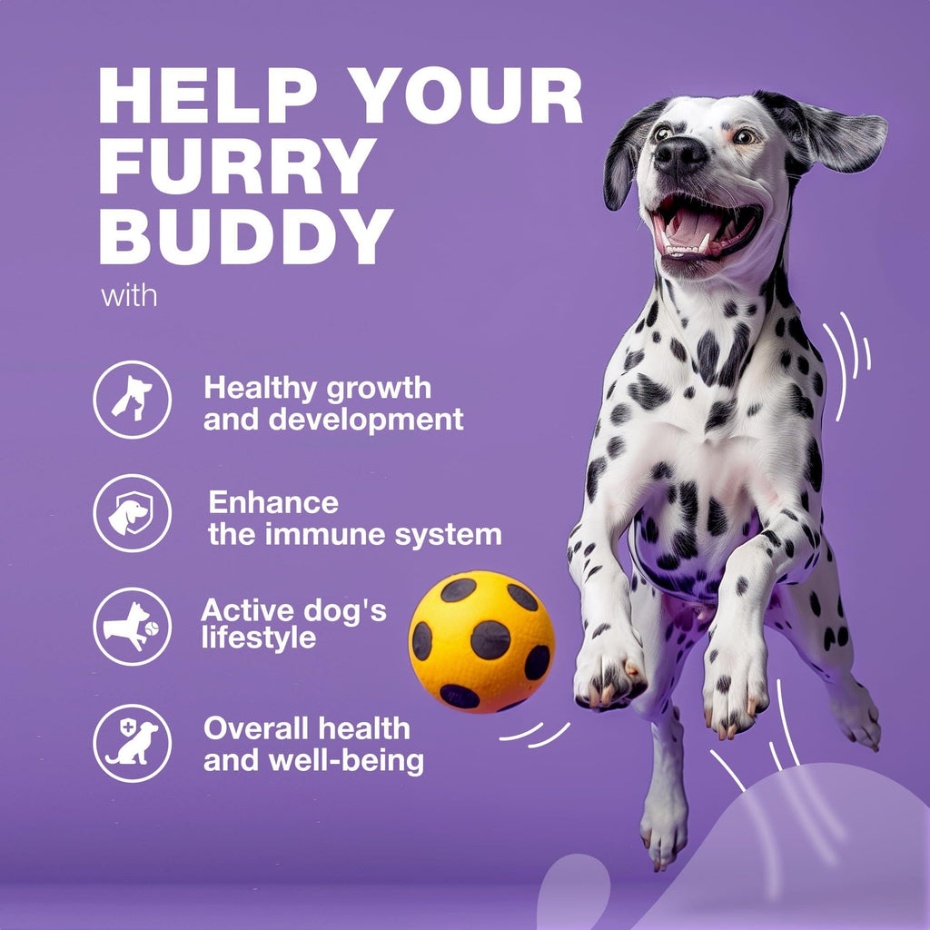 Dog Multivitamin Chews 15-in-1 MSM Hip & Joint Health