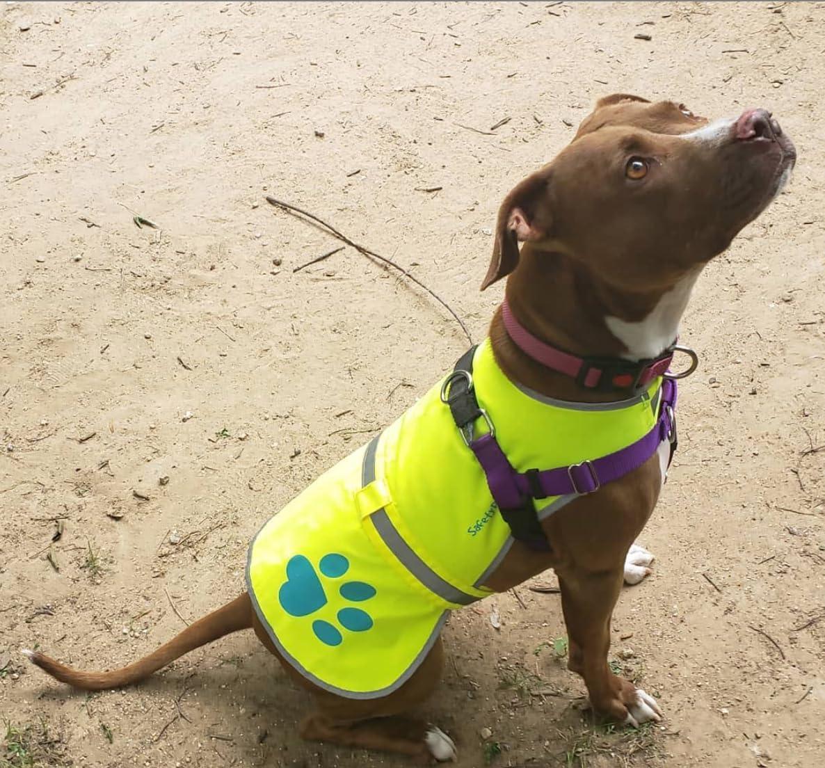 Reflective Dog Vest Hi-Vis M Size Yellow