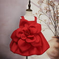 Girls' Oblique Shoulder Flower Mesh Bubble Skirt