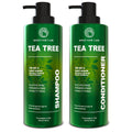 Tea Tree Shampoo and Conditioner Set Sulfate Free 14 Fl Oz Set of 2 Anti Dandruff Hair Care for Men and Women Cleansing Formula for Itchy Scalp and Oil Control