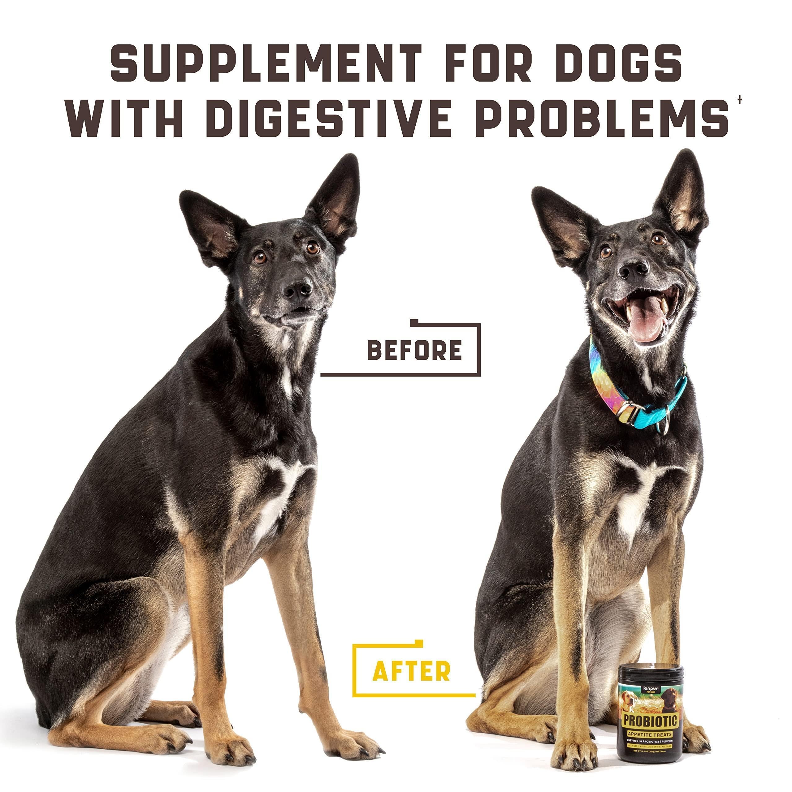 Green & Beautiful Lawn: Reduce yellow patches with green lawn chews for healthy dogs! Easy lower nitrogen in dog urine and deal with unwanted yellow burn spots. Try an amazing grass saver for a clean and vibrant yard! Gut Health for Dogs: Burn spots