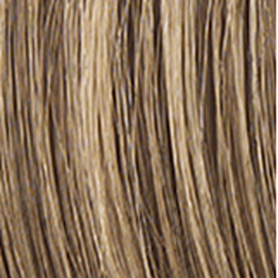BEGUILE - Wig by Raquel Welch 100% Human Hair