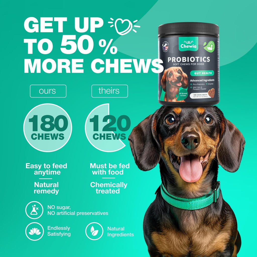 Probiotics for Dogs Digestive Enzymes Gut Health Pumpkin & Yeast Powder
