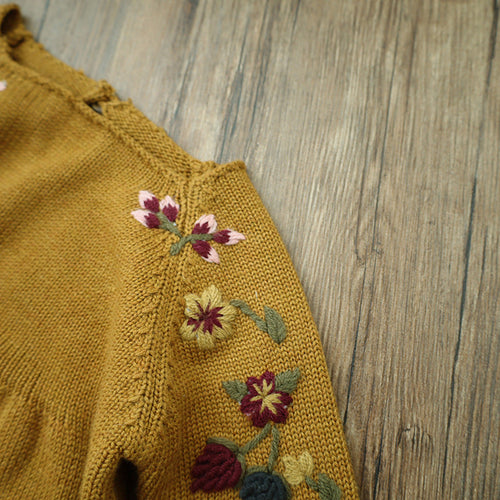 Baby Embroidery Long Sleeve Butt Wrap Clothes Wool