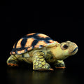 Simulated Land Turtle Doll Cute Turtle Doll Plush Toy
