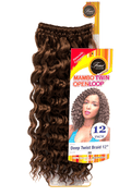 Femi Collection Mambo Twin Open Loop Deep Twist Braid Hair 12" Color 30