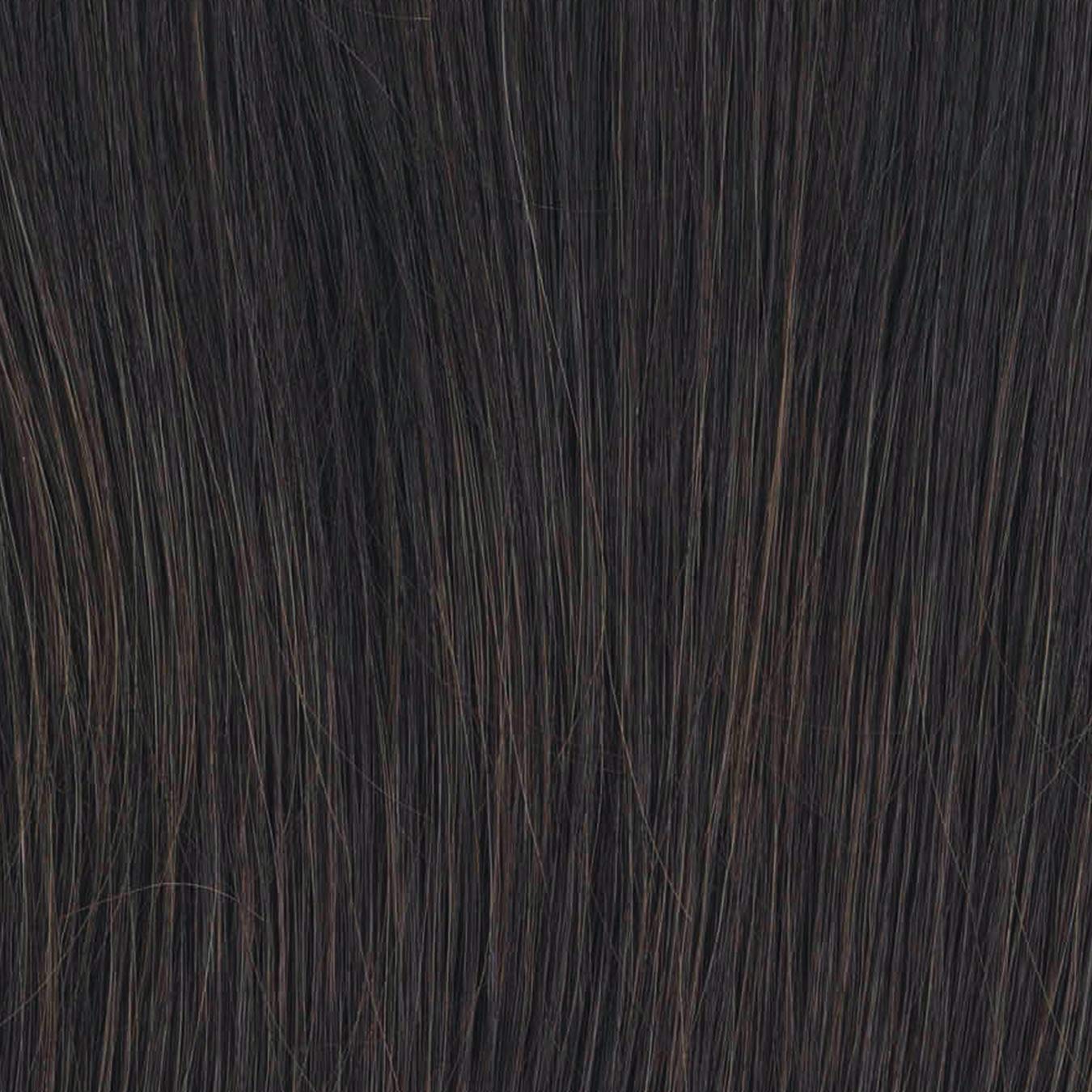 Raquel Welch Go to Style Wig New With Tags
