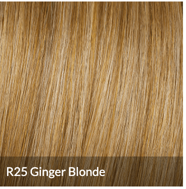 Hairdo Fishtail Braid Headband Hair Extension, Color R25
