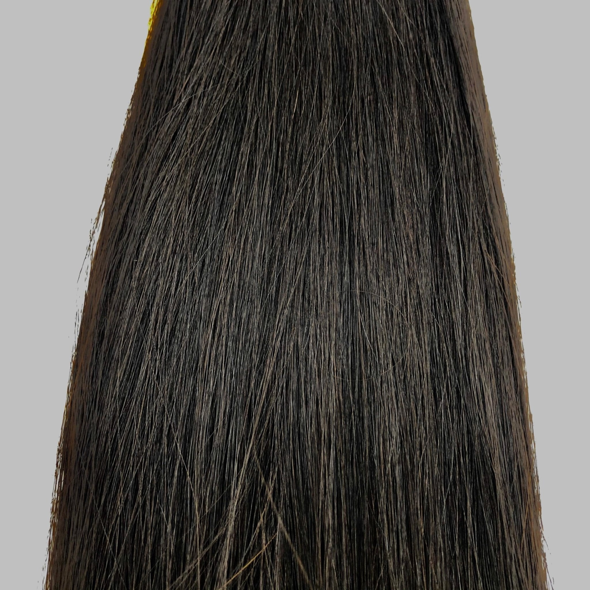 Narcia Remy Siberian - Micro Ring - 24"