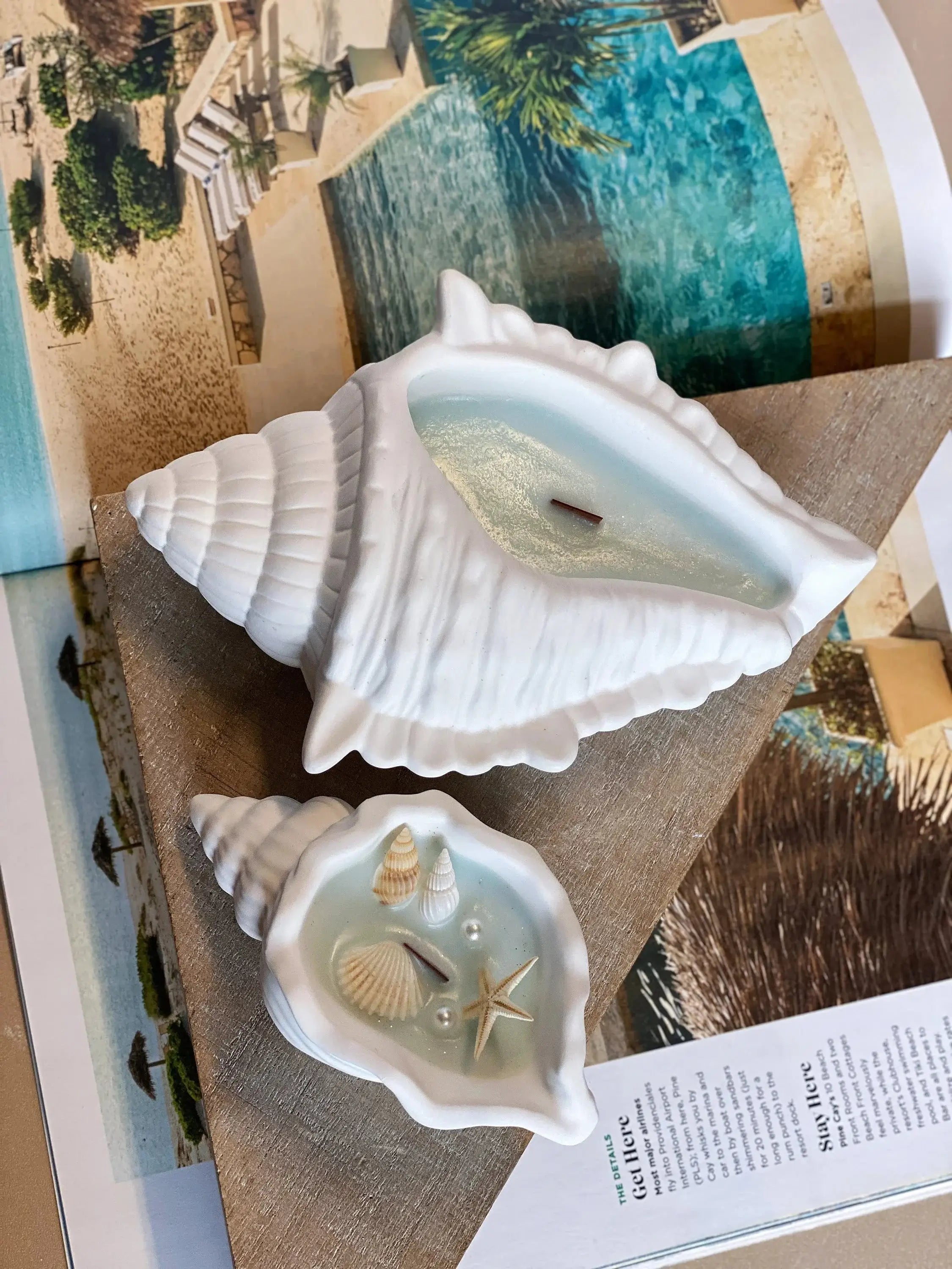 Ocean's Whisper Sea Shell Candle — Jesmonite Vessel, Coastal Soy Wax