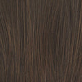 Raquel Welch Portrait Mode Wig, RL4/6 Black Coffee