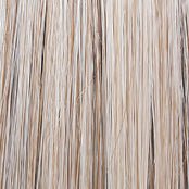 Raquel Welch Flying Solo Shoulder-Length Wig, SS19/23 SS Biscuit