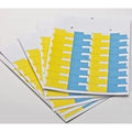 Dispill® Standard Labels - Yellow/Blue/Yellow/Blue (50 ct)
