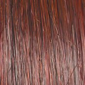 Raquel Welch Top Billing 12" Top Piece Hair Topper Hairpiece