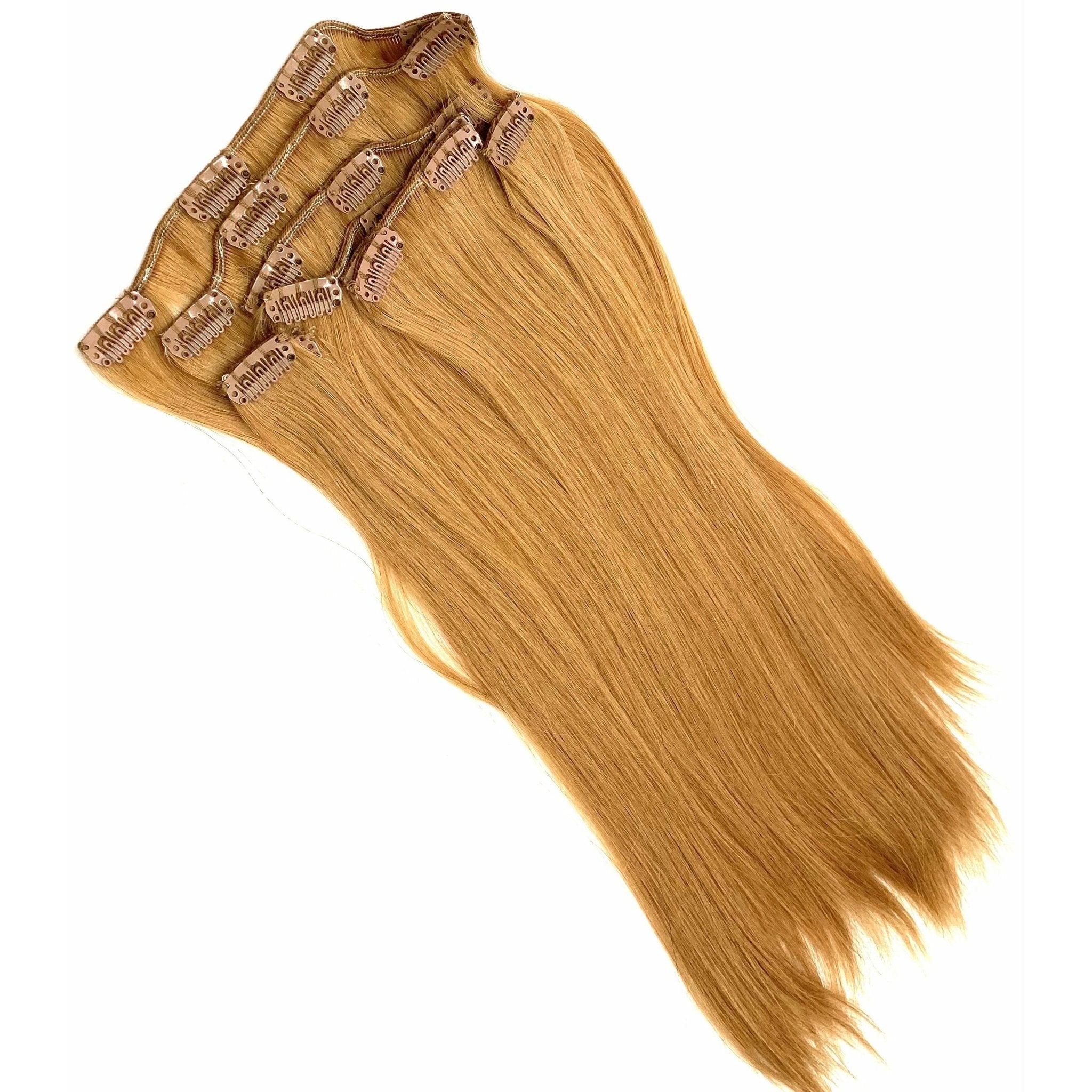 VIP Clip Extensions / Silky Straight 18" - ClipeX System