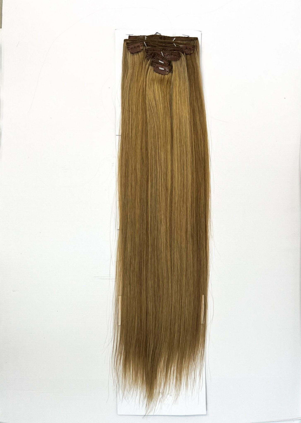 VIP Clip Extensions / Silky Straight 24" (170 g) - ClipeX System