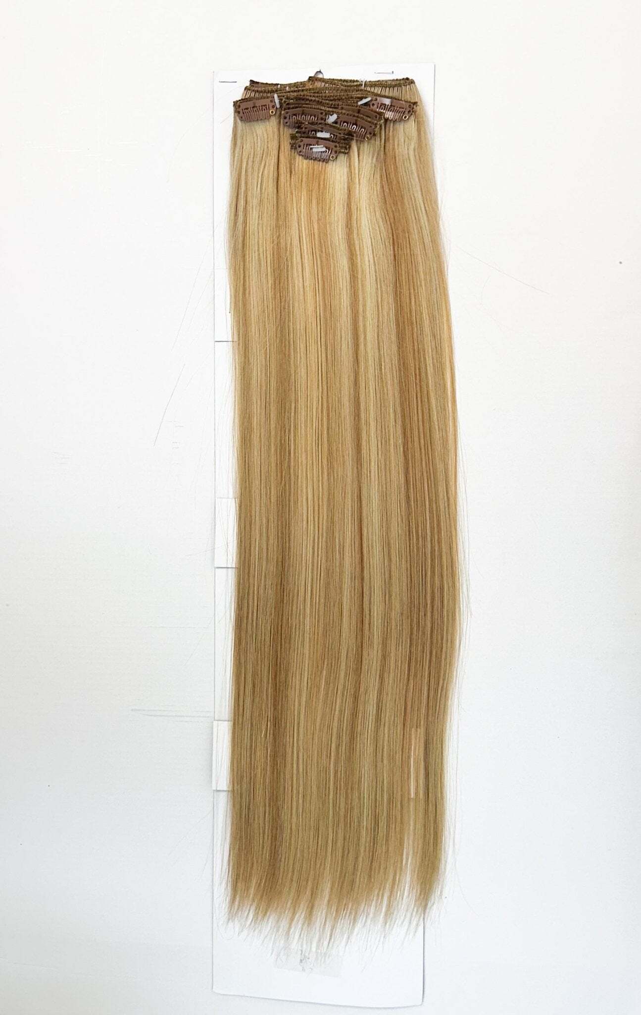 VIP Clip Extensions / Silky Straight 24" (170 g) - ClipeX System